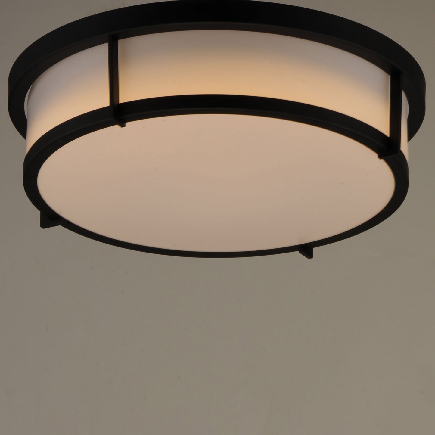 Rogue Flush Mount Ceiling Light in Detail.