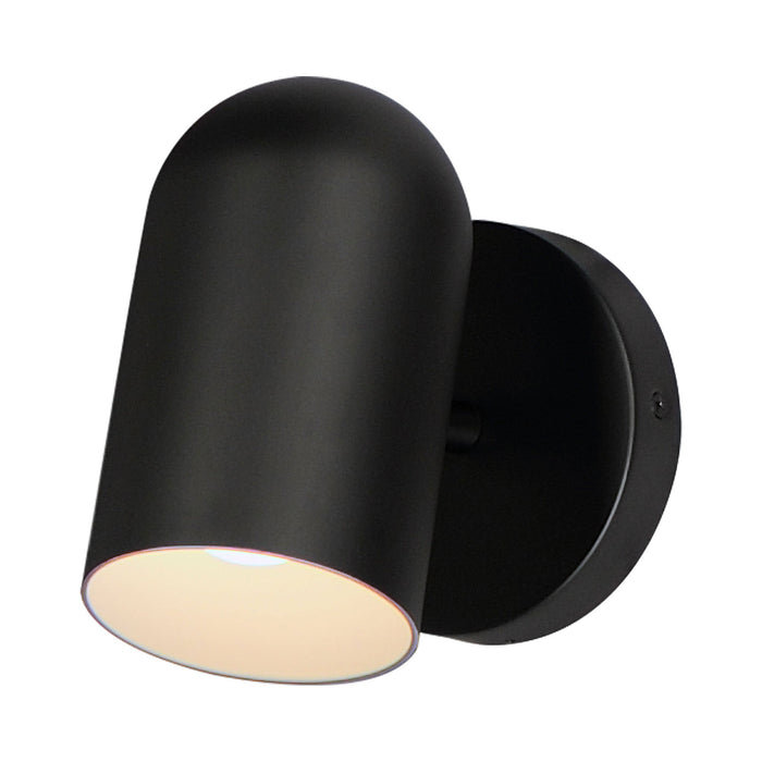 Scout Outdoor LED Wall Light in Black (Dome).