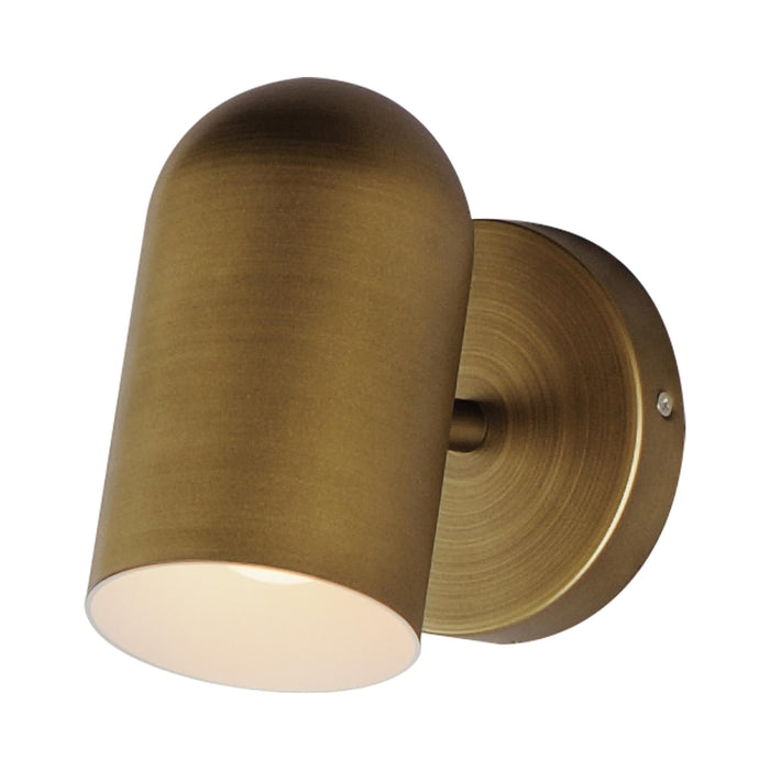 Scout Outdoor LED Wall Light in Natural Aged Brass (Dome).