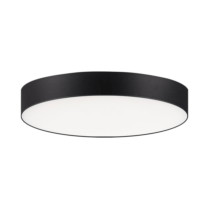 Trim LED Flush Mount Ceiling Light in Black (X-Small/Round).