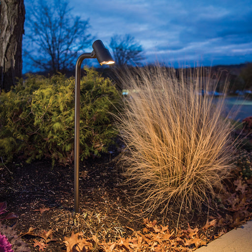 Mini Accent LED Path Light in Outdoor Area.
