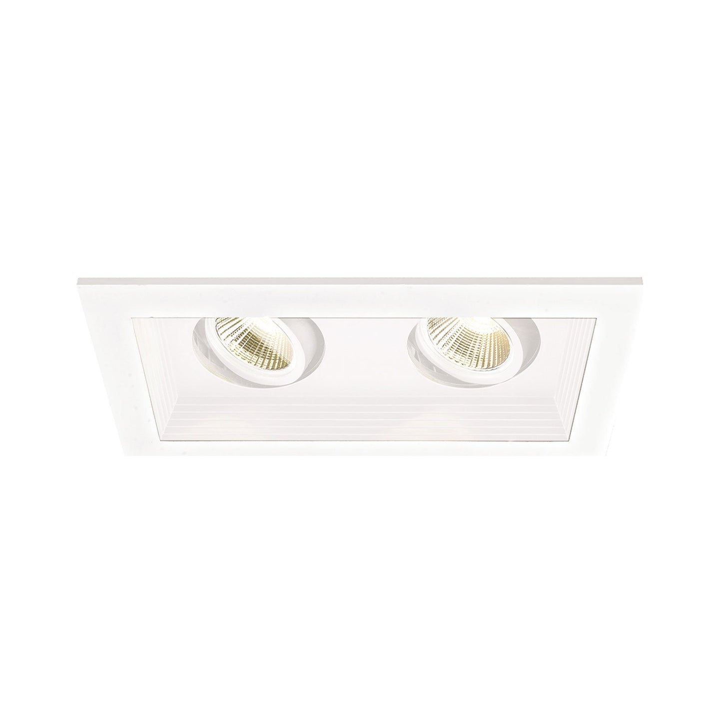 Mini Multiple Spots 2 Light LED Recessed Light Kit in Detail.