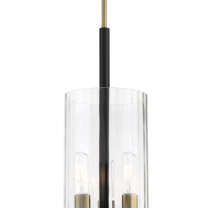 Baldwin Park Pendant Light in Detail.