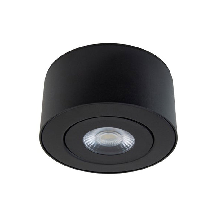 I Spy Outdoor LED Flush Mount Ceiling Light in Black.
