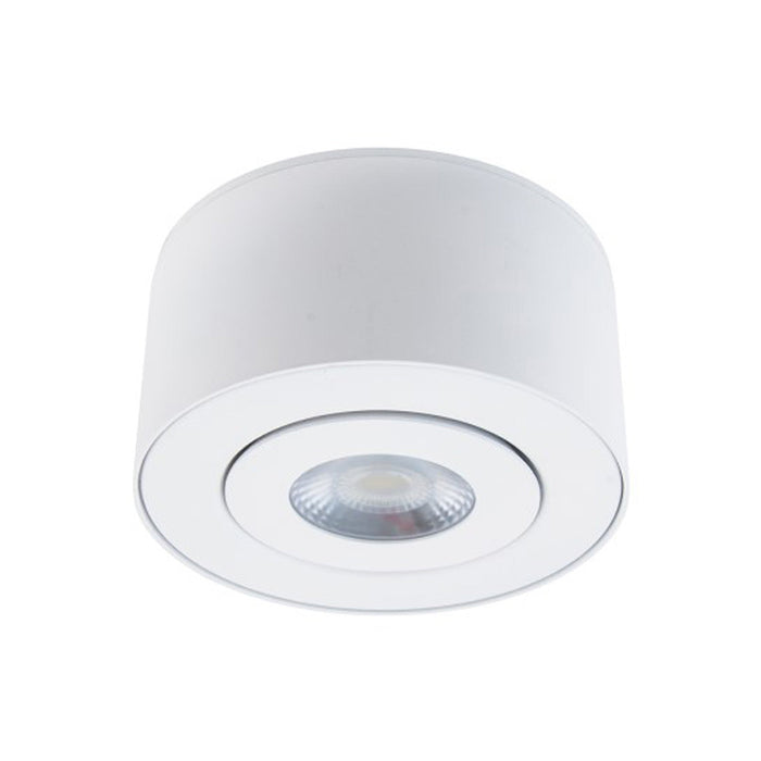 I Spy Outdoor LED Flush Mount Ceiling Light in White.