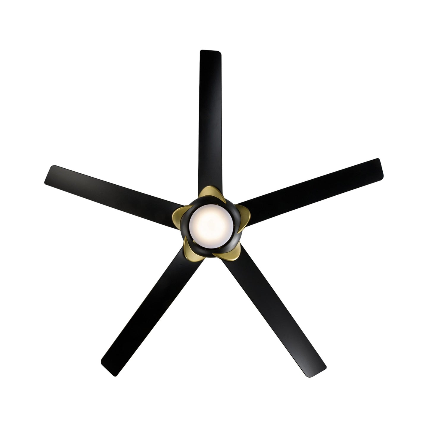 Lucid Ceiling Fan in Detail.