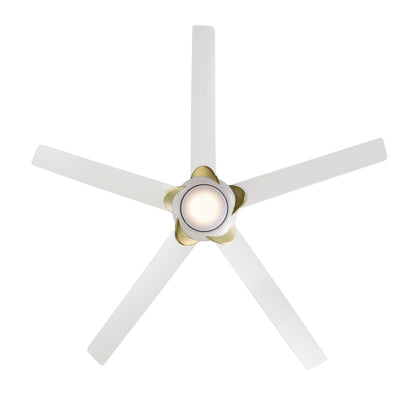 Lucid Ceiling Fan in Detail.