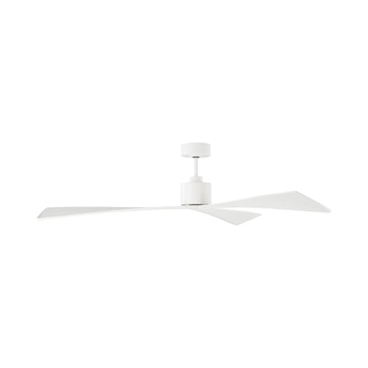 Adler Ceiling Fan in Detail.