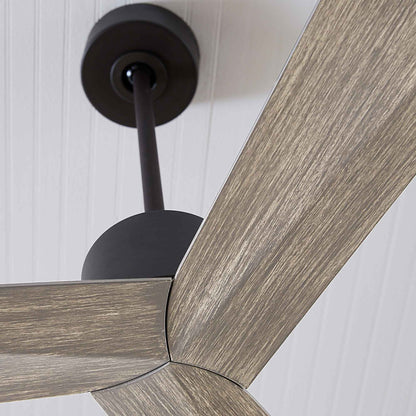 Adler Ceiling Fan in Detail.