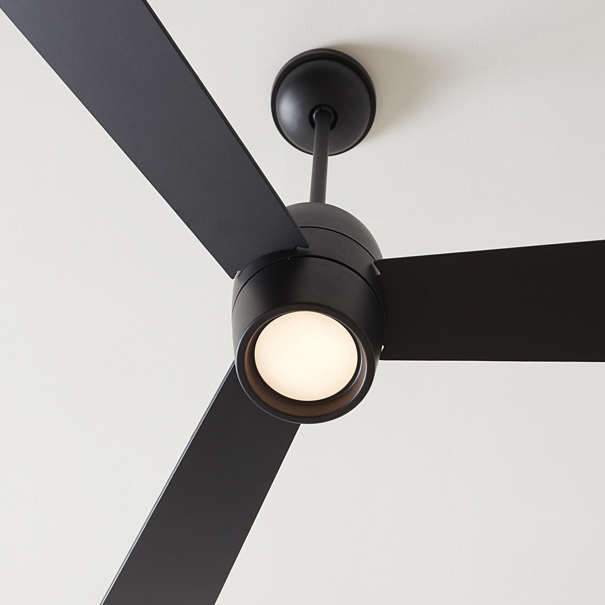 Alba LED Ceiling Fan in Detail.