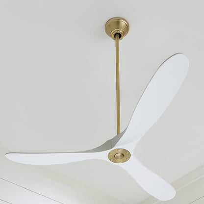 Maverick Ceiling Fan in Detail.