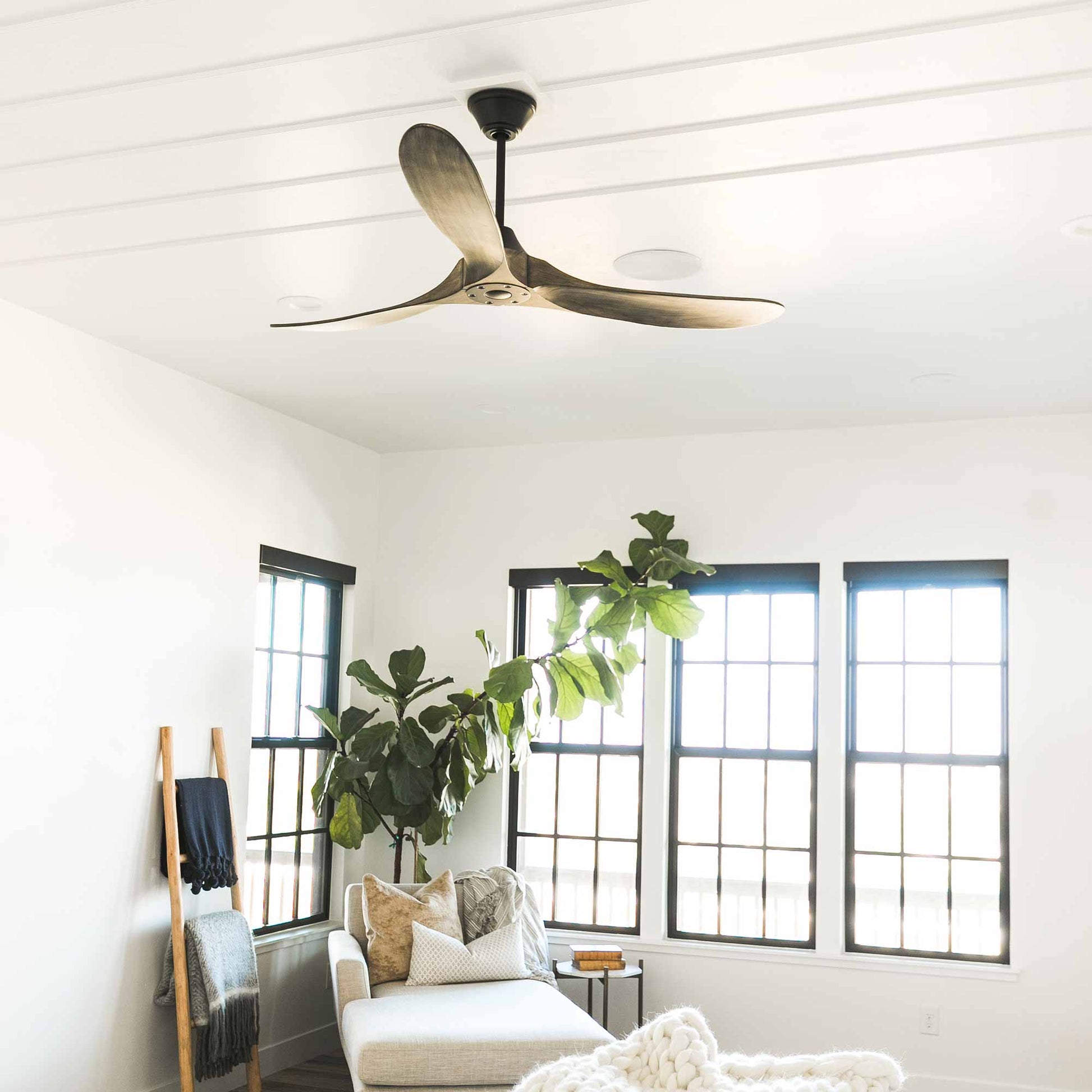 Maverick II Ceiling Fan in living room.