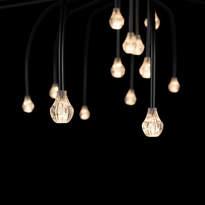 Starfall Light LED Chandelier in Detail.