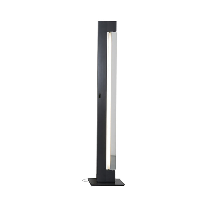 Ara LED Floor Lamp in Anthracite/Polished.