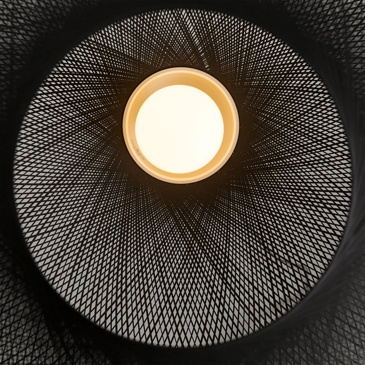 Non Random Pendant Light in Detail.