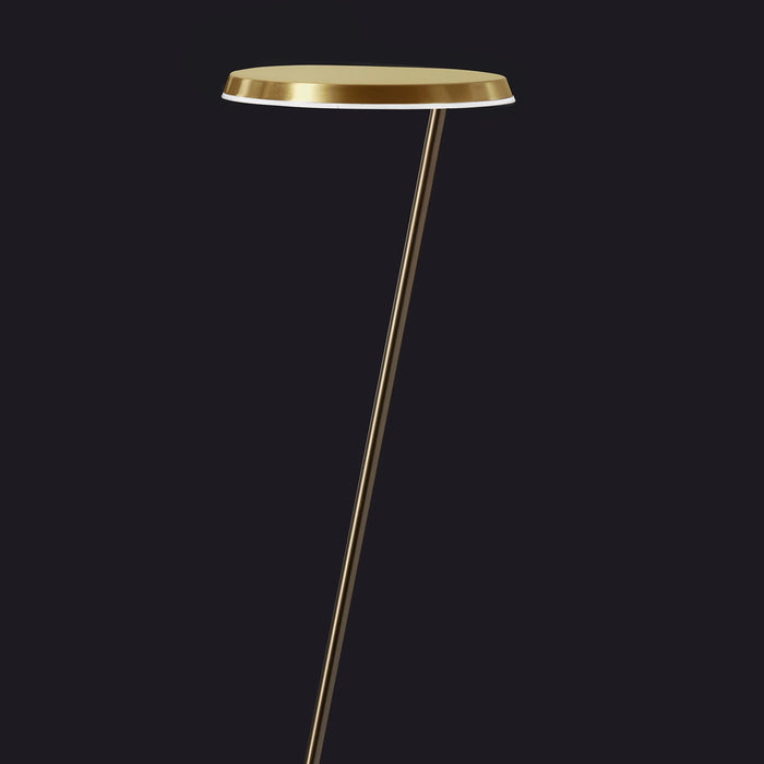 Amanita LED Floor Lamp in Detail.