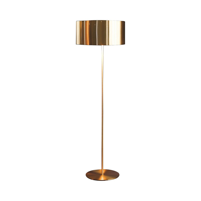 Switch Floor Lamp in External Satin Gold.