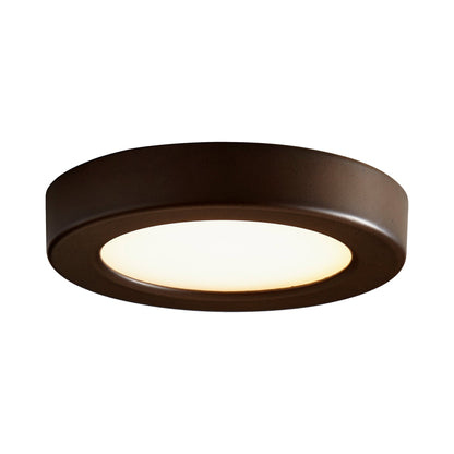 Elite LED Flush Mount Ceiling Light in Detail.