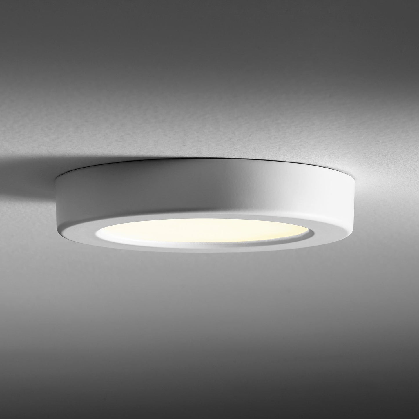 Elite LED Flush Mount Ceiling Light in Detail.