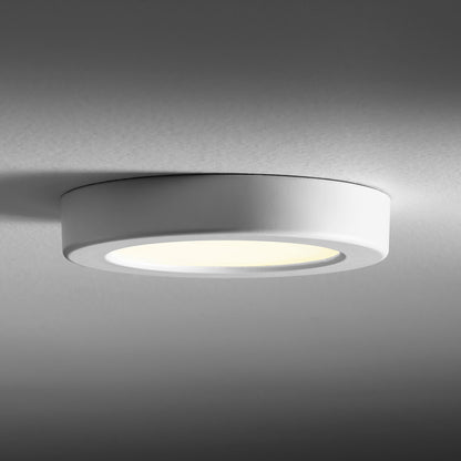 Elite LED Flush Mount Ceiling Light in Detail.