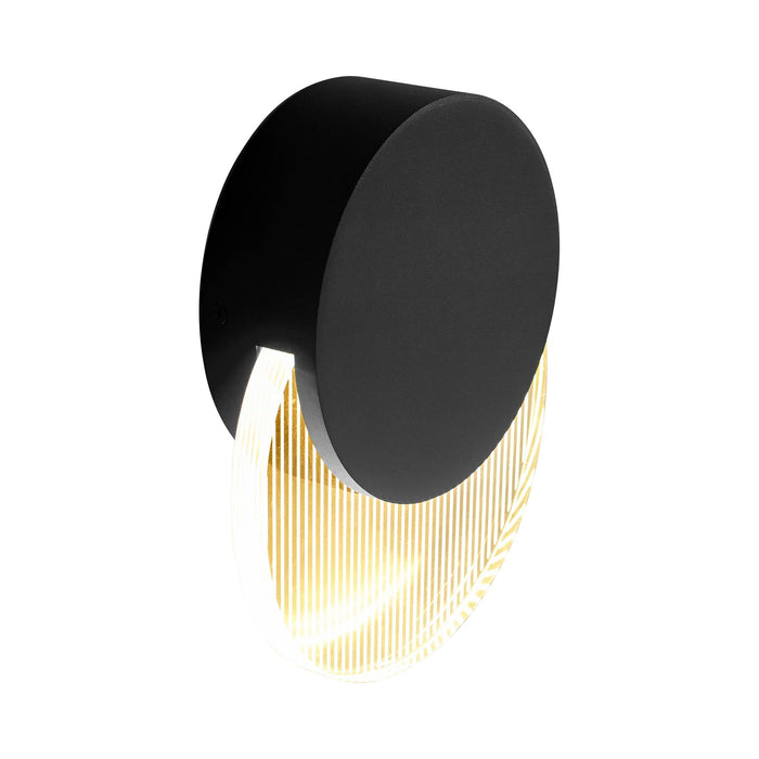 Pavo Outdoor LED Wall Light in Detail.