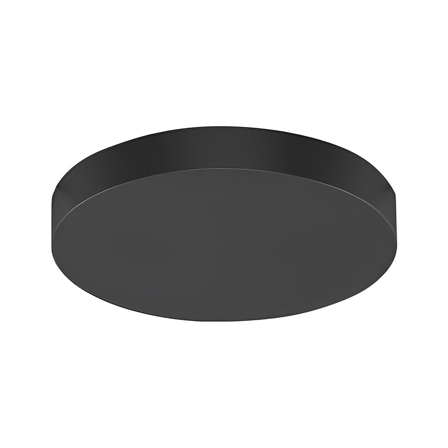 Cielo XL Multi-Light Canopy in Black (12-Inch).
