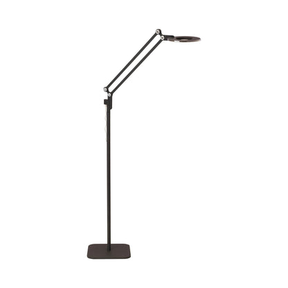 Link LED Floor Lamp in Black (Small).