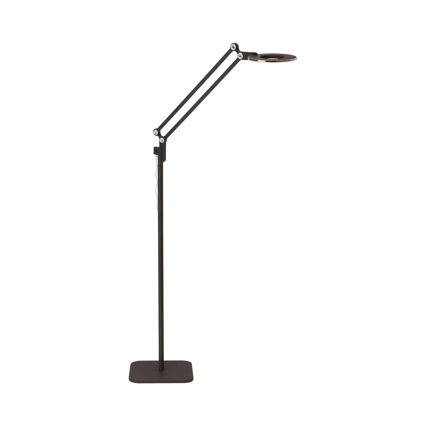 Link LED Floor Lamp.