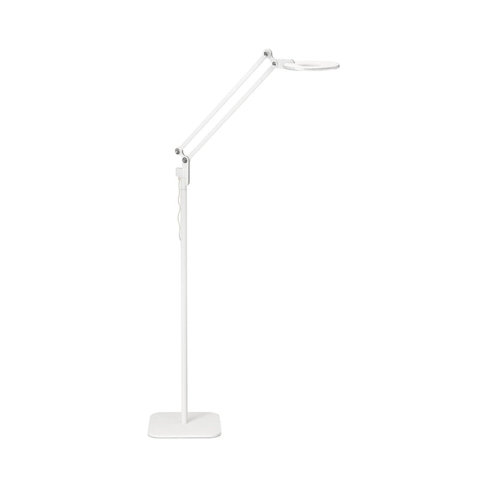 Link LED Floor Lamp in White (Small).