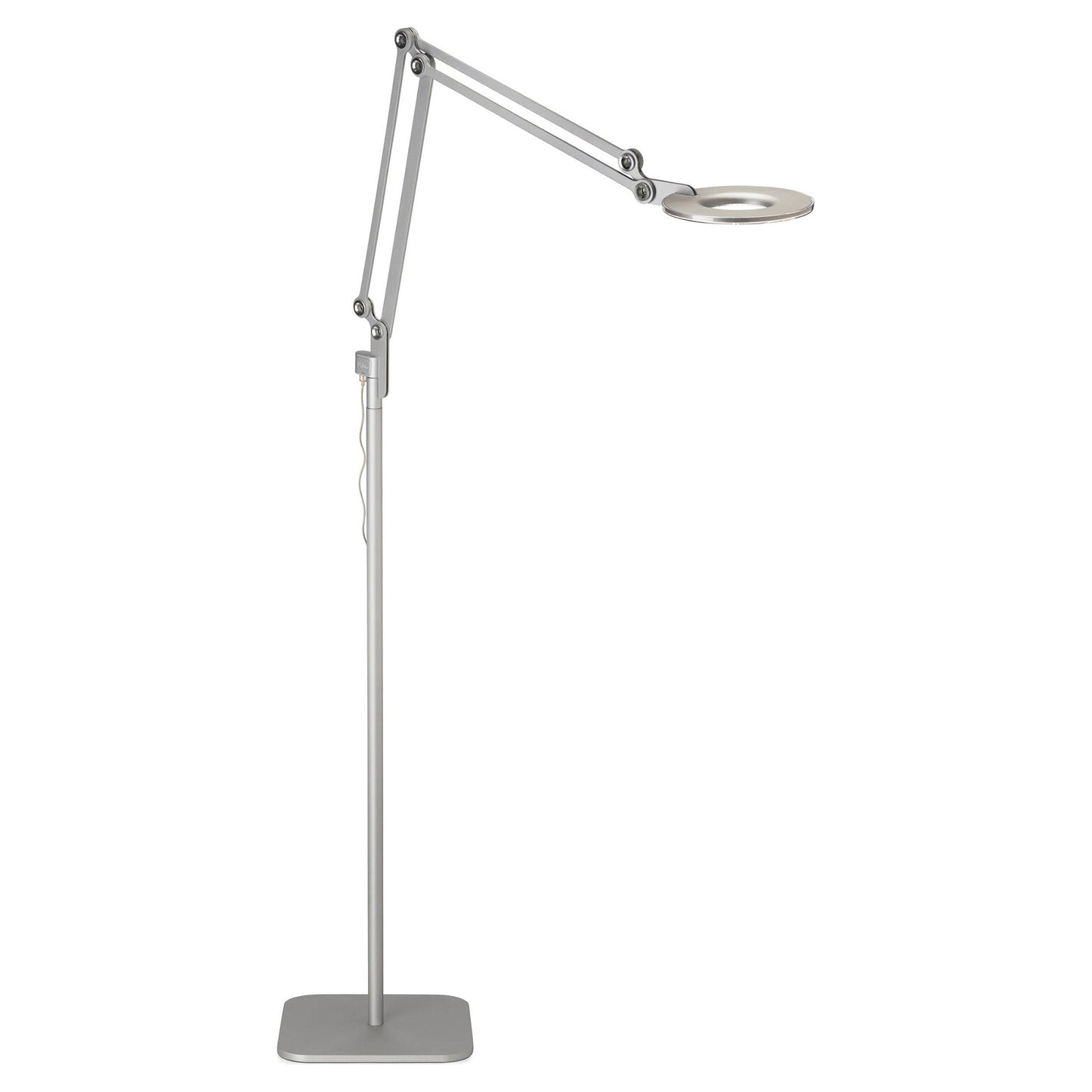 Link LED Floor Lamp in Silver (Medium).