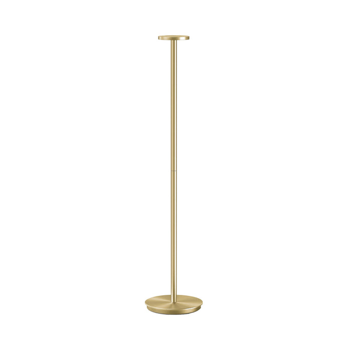 Luci LED Floor Lamp in Brass.