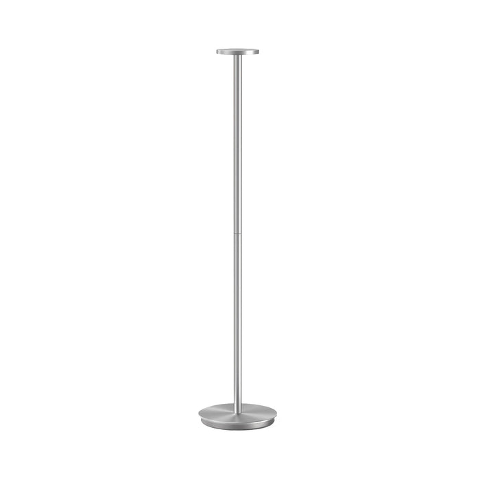 Luci LED Floor Lamp in Silver.