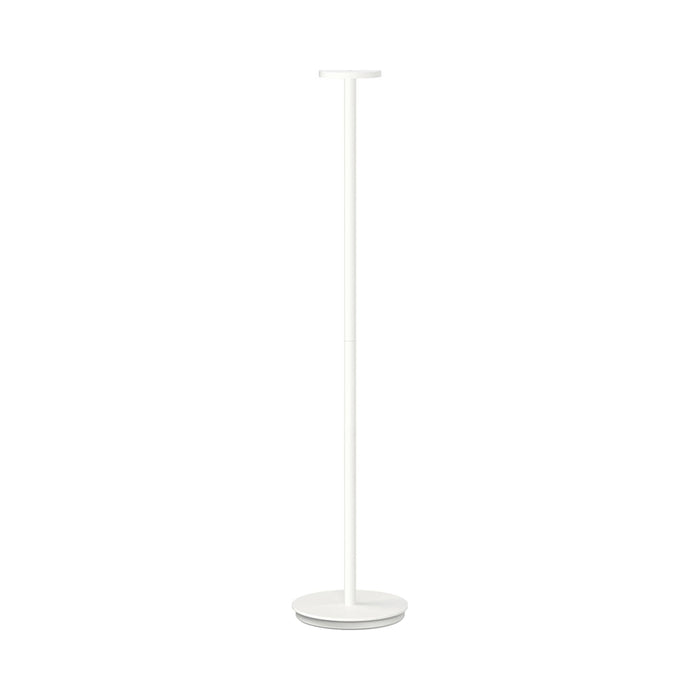 Luci LED Floor Lamp in White.