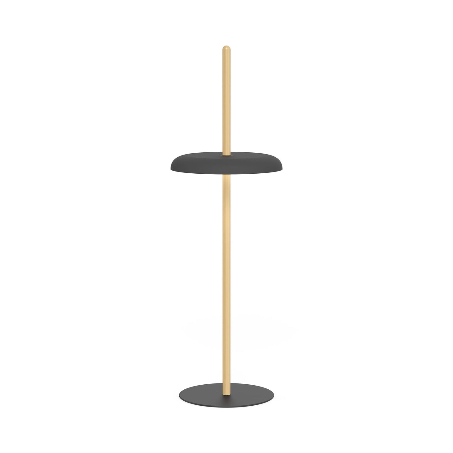 Nivel LED Floor Lamp in Oak/Black.