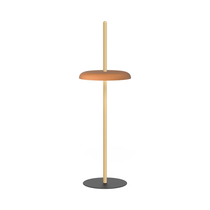 Nivel LED Floor Lamp in Oak/Terracotta.