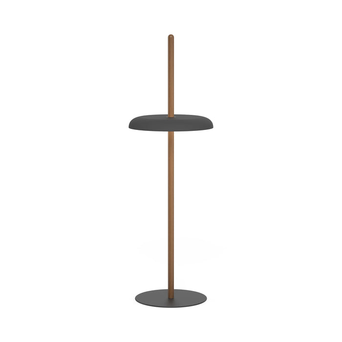 Nivel LED Floor Lamp in Walnut/Black.