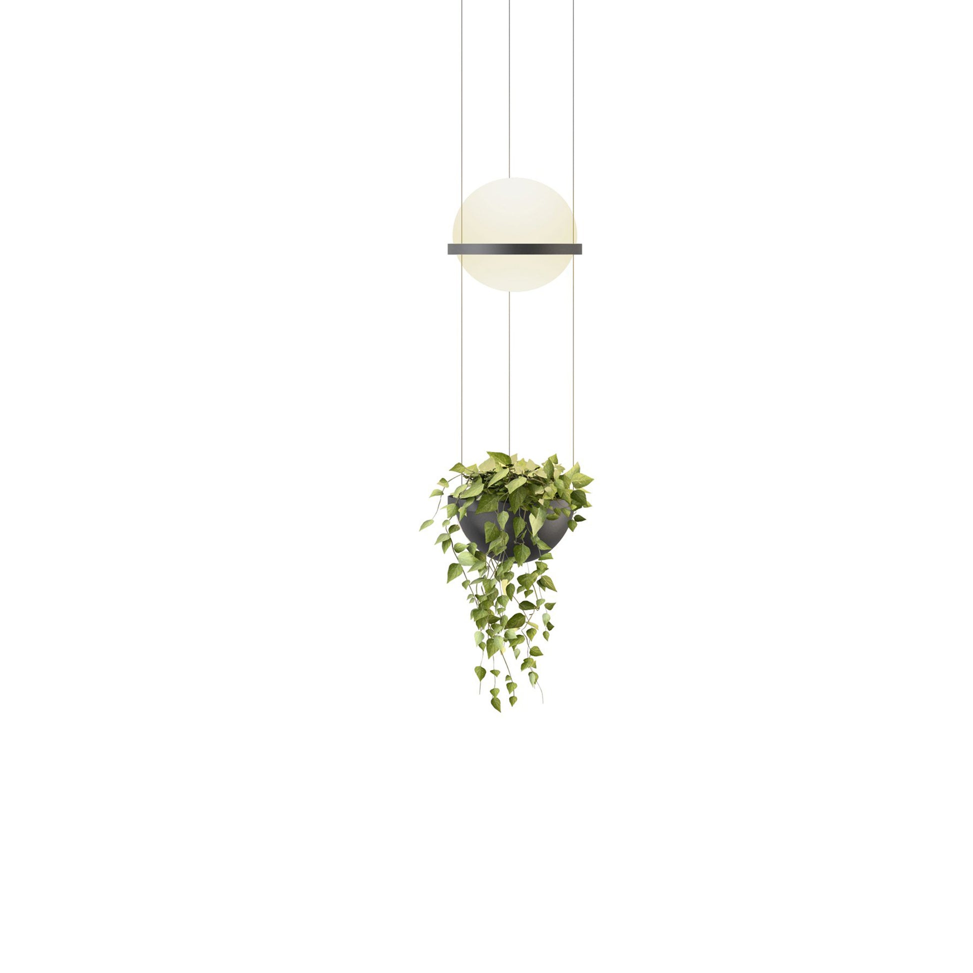 hanging light planter Palma Planter LED Pendant Light