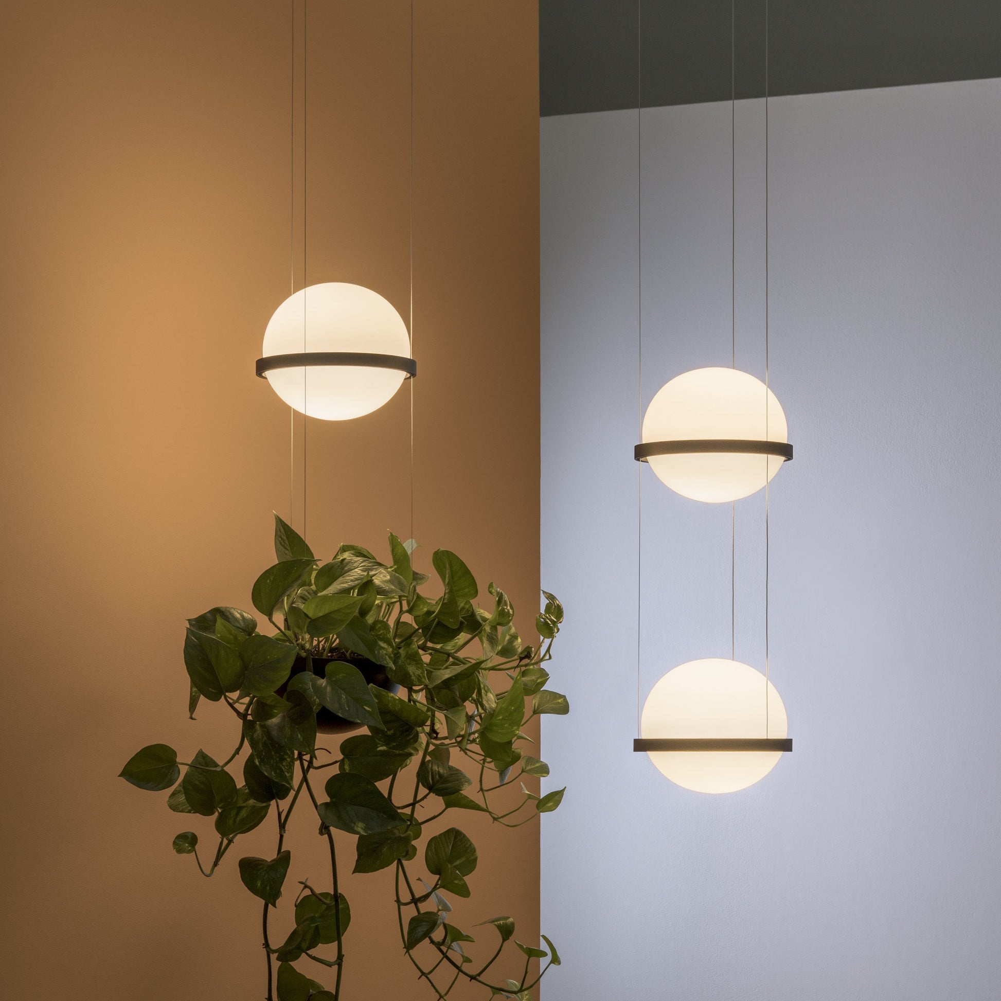 hanging light with planter Palma Planter LED Pendant Light