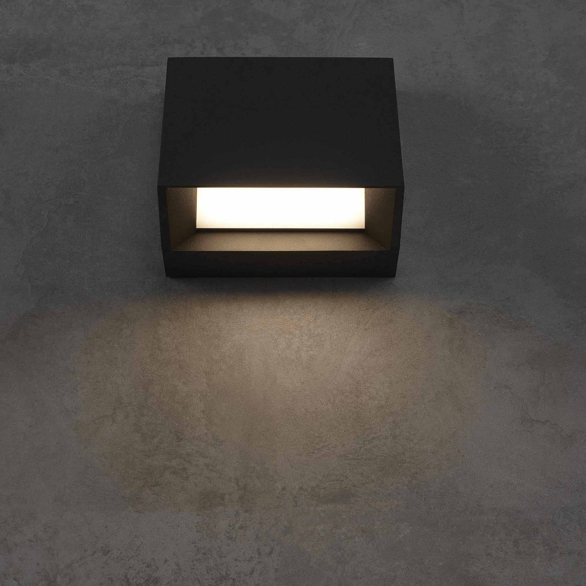 Pitch Single Outdoor LED Wall Light in Detail.
