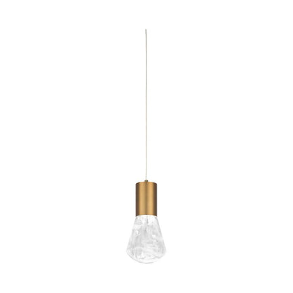 Plum LED Pendant Light in Aged Brass.