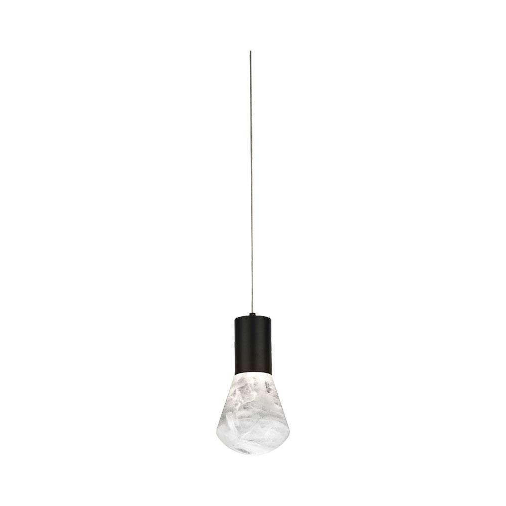 Plum LED Pendant Light in Black.