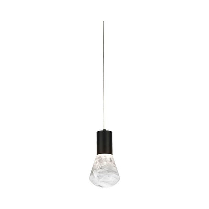 Plum LED Pendant Light in Black.