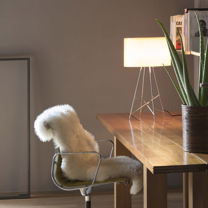Ray T Table Lamp On Desk
