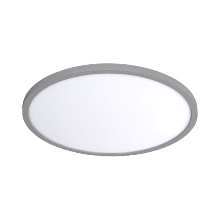 Round LED Ceiling/Wall Light in Brushed Nickel (Medium).