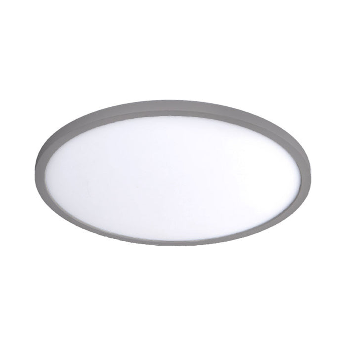 Round LED Ceiling/Wall Light in Brushed Nickel (Large).