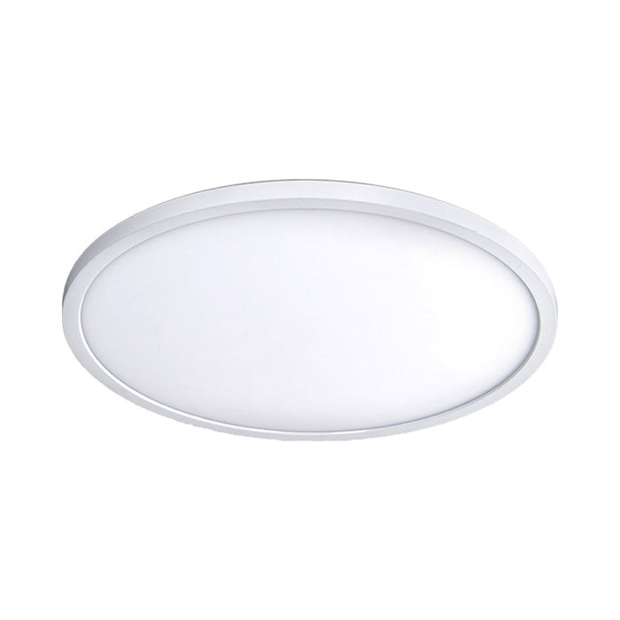 Round LED Ceiling/Wall Light in White (X-Large).