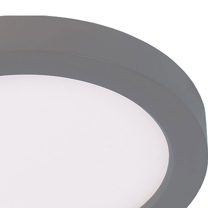 Round LED Ceiling/Wall Light in Detail.