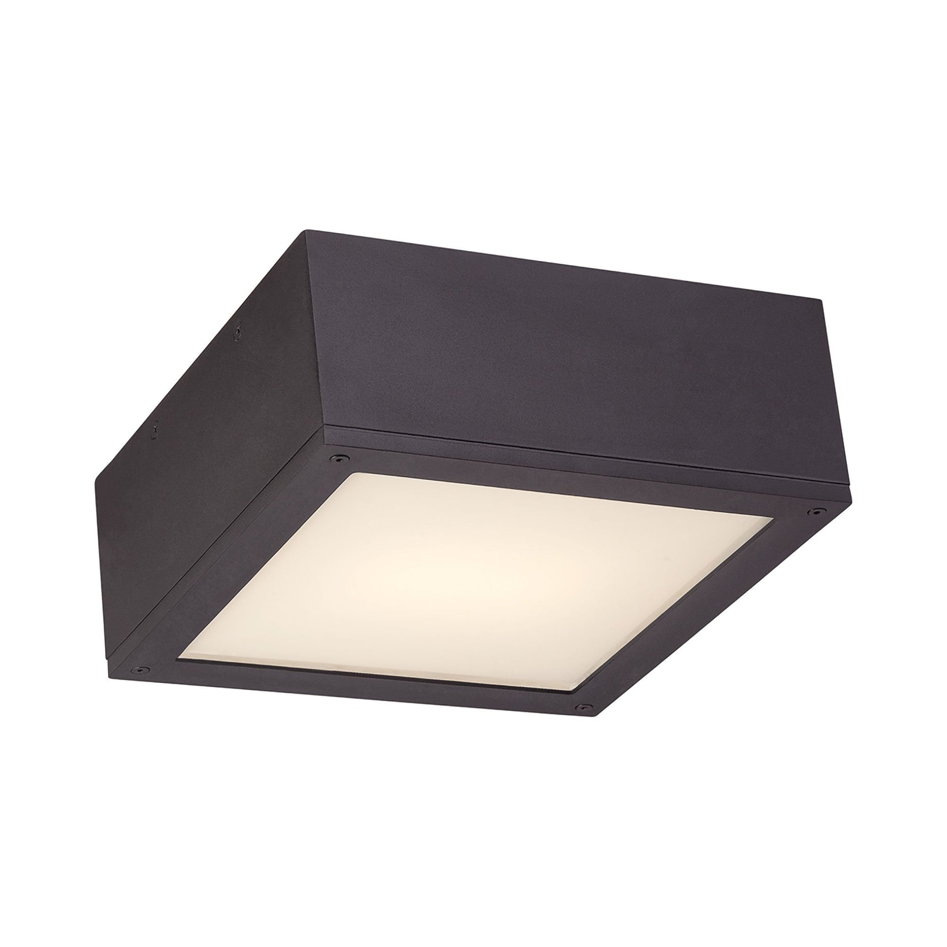 Rubix Outdoor LED Flush Mount Ceiling Light in Black (Large).