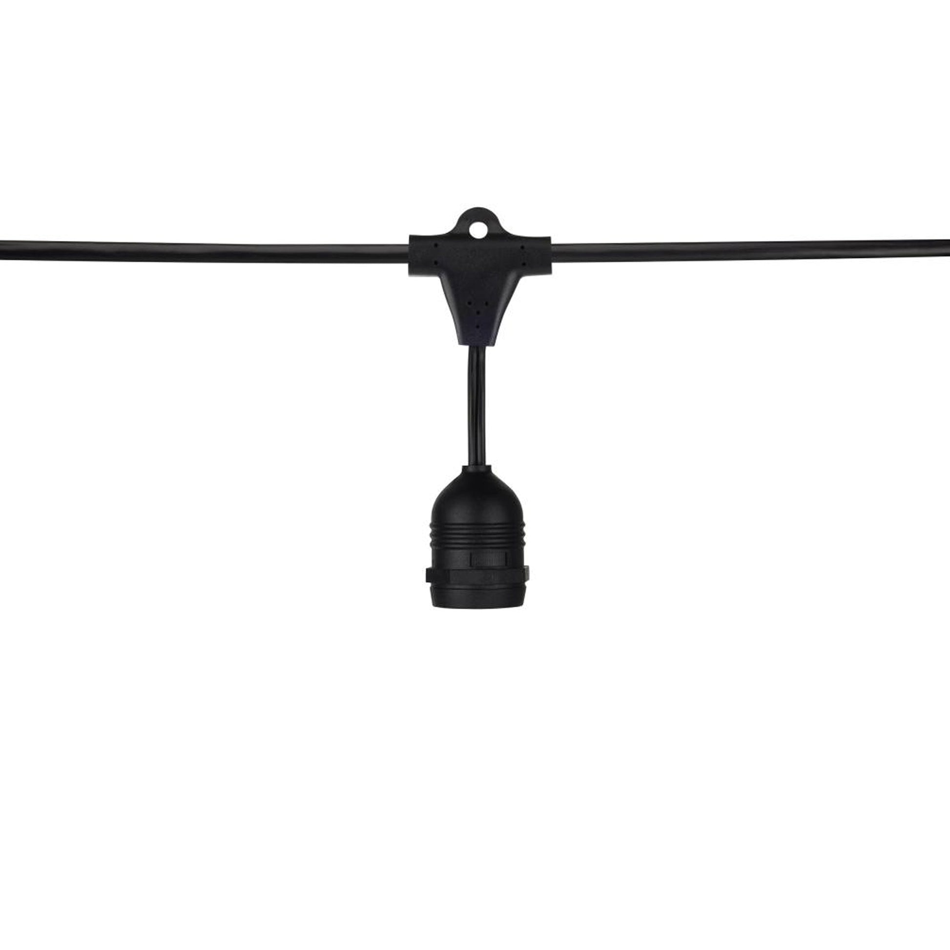 Indoor/Outdoor String Lights in Black (Incandescent/24-feet/10-Unit).