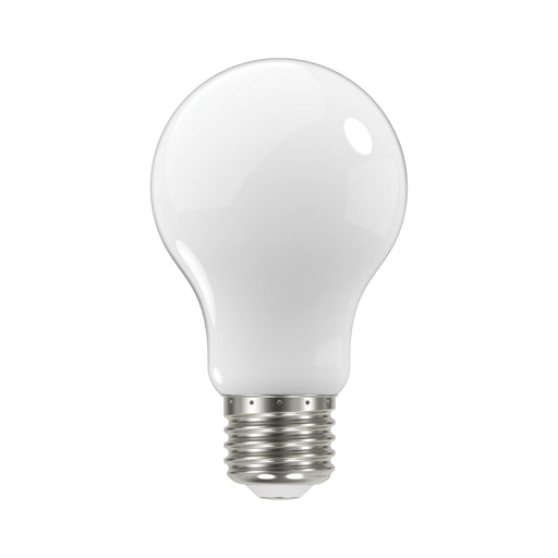 Medium Base A Type LED Bulb.